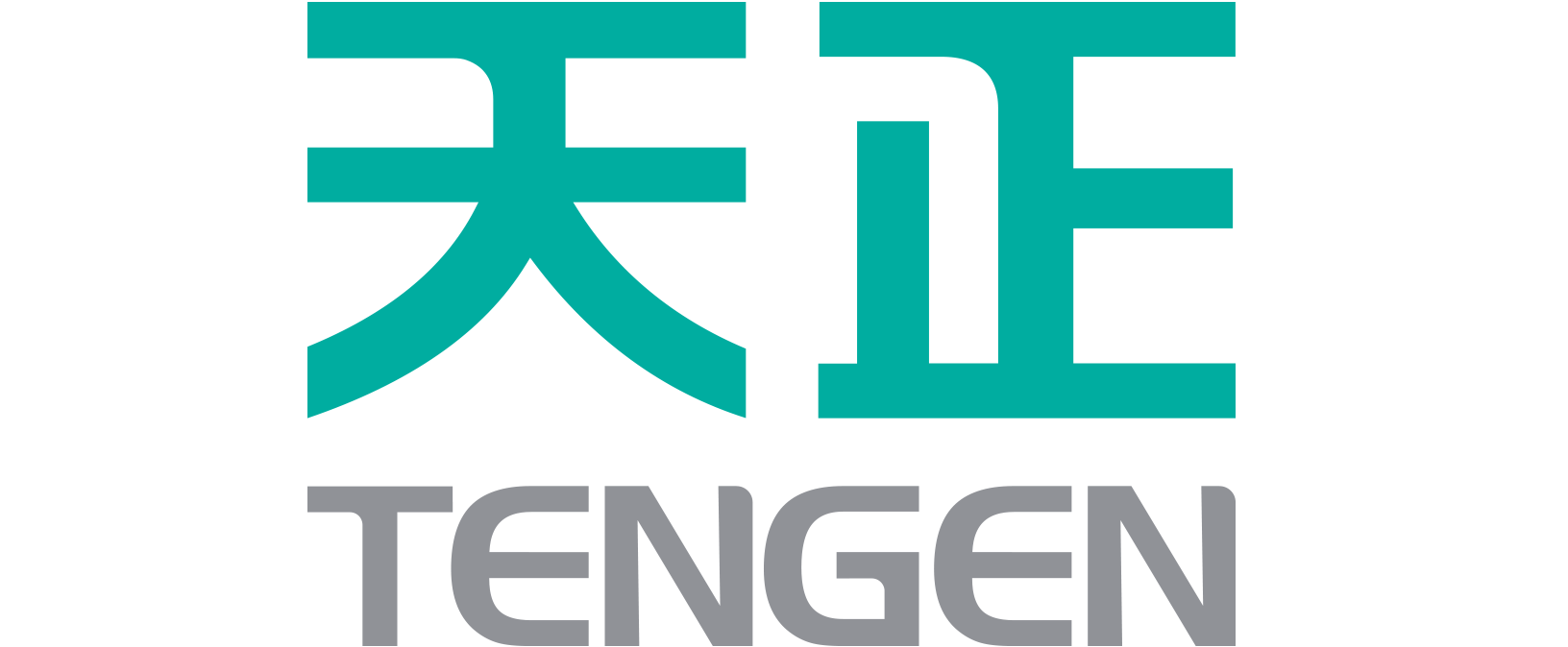 天正